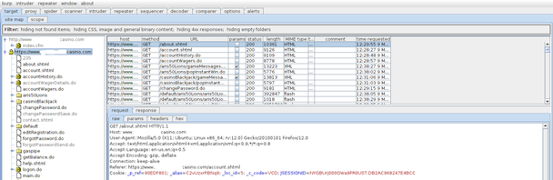 Monitoring internet activity with Burp Proxy.