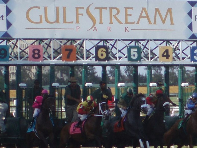 Saturday’s 14th race at Gulfstream Park will be the G1 $1,000,000 Florida Derby. A field of 9 3yr olds will run 1-1/8 miles around the 2-turn dirt course…. Saturday’s 14th race at Gulfstream Park will be the G1 $1,000,000 Florida Derby. A field of 9 3yr olds will run 1-1/8 miles around the 2-turn dirt course….