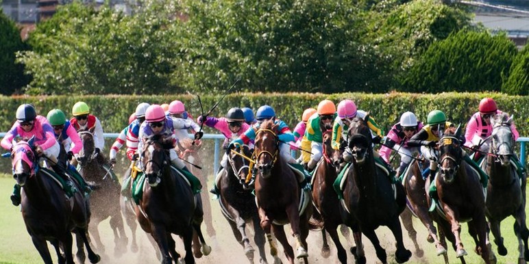 With the close of the Saratoga and Del Mar meets, we welcome in my favorite mini-meet of the year. Kentucky Downs presents us with 5 days of racing on an… With the close of the Saratoga and Del Mar meets, we welcome in my favorite mini-meet of the year. Kentucky Downs presents us with 5 days of racing on an…