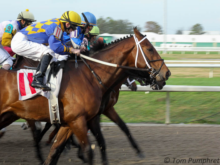 Saturday’s 11th race at The Fair Grounds will be the $1 million G2 Louisiana Derby. With 100 Derby points to the winner and 40 to the place runner, 2 spots in… Saturday’s 11th race at The Fair Grounds will be the $1 million G2 Louisiana Derby. With 100 Derby points to the winner and 40 to the place runner, 2 spots in…
