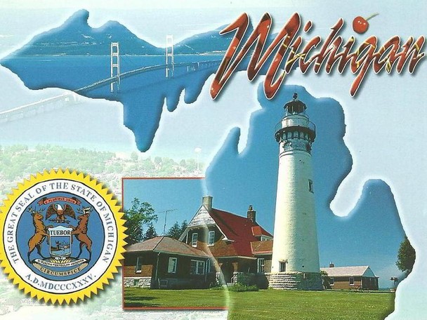 Millionaire poker michigan