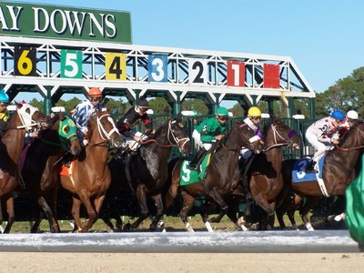 Poker tampa bay downs
