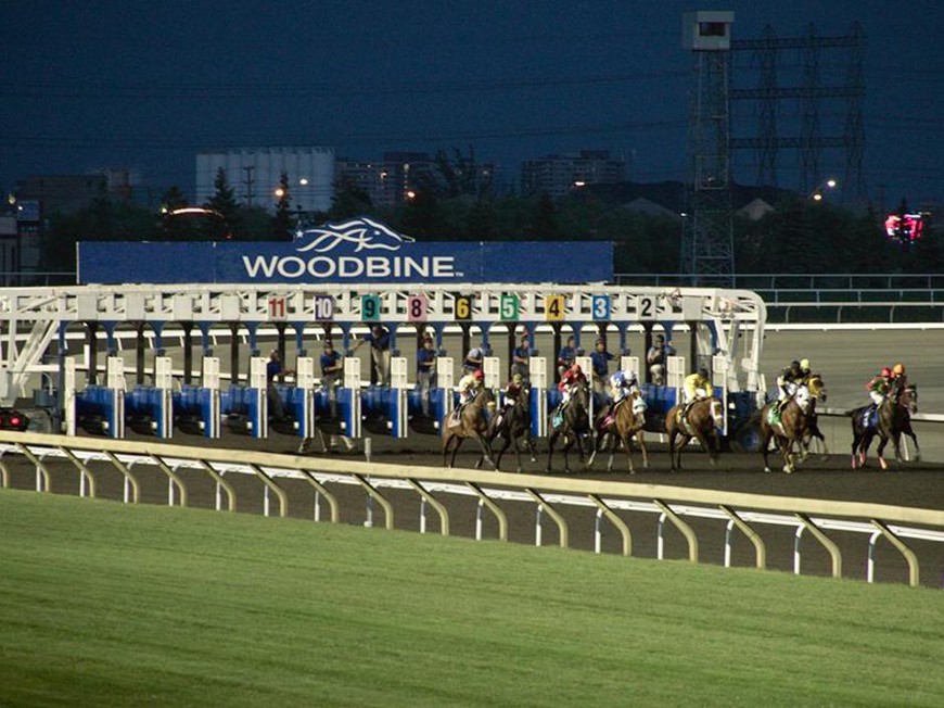 $1,000,000 Woodbine Mile Makes 8 in a Row for Tepin