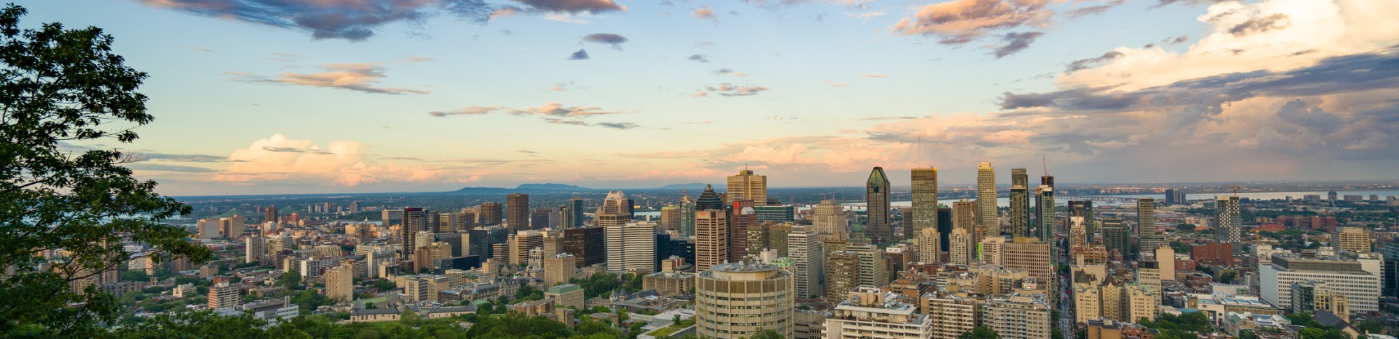 WSOP Montreal: The Complete Player’s Guide