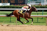 Horse-racing and Churchill Downs