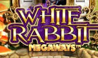 White Rabbit highest paying slots