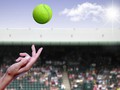 2023 Guide to Wimbledon Betting: Odds, Tips, and Predictions