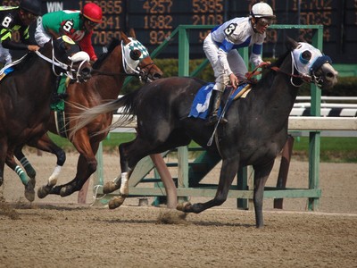 Aqueduct’s $750,000 G2 Wood Memorial