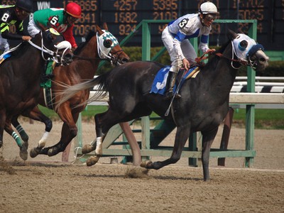 Eight To The Gate in Aqueduct’s Gotham Stakes