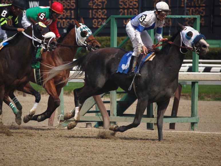 Aqueduct will host the G3 Gotham Stakes this Saturday. The featured 10th race on the card will have 9 hopefuls running for their share of a $300,000 purse and… Aqueduct will host the G3 Gotham Stakes this Saturday. The featured 10th race on the card will have 9 hopefuls running for their share of a $300,000 purse and…