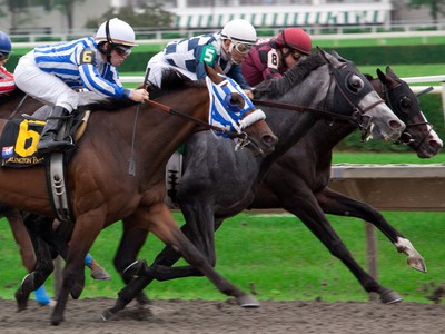 Using All-In Tournaments to Become a Better Horse Racing Handicapper