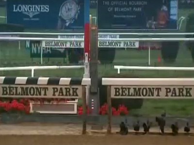 Full Field of 11 in Belmont’s Bold Ruler Handicap