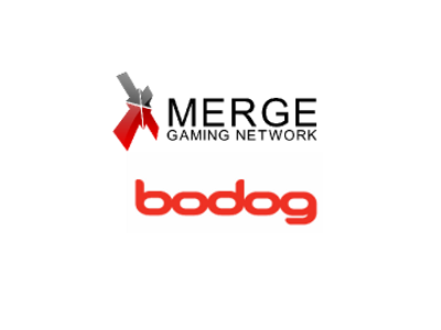 Bodog betting