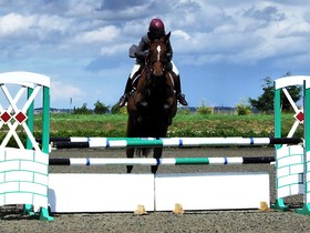 State Assembly Passes New Jersey Online Gaming Bill