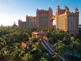 WSOP Paradise Full Schedule Revealed: Get All the Details Here