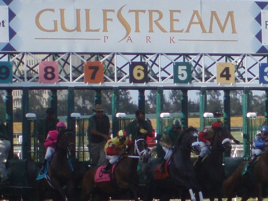 Looking for a Long Shot in the $1M Florida Derby