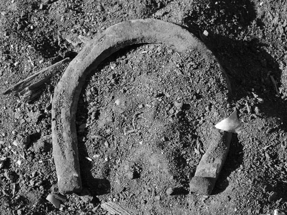 horseshoe.jpg