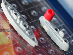 WTO Issues Final Approval for Antigua to Retaliate in US Online Gambling Dispute