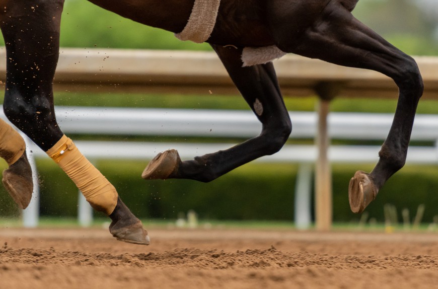 Closeup of horse racing in Kentucky Derby. Eight Mobile Sportsbooks Win Licensure in Kentucky