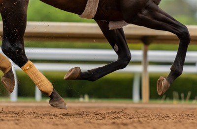 Closeup of horse racing in Kentucky Derby. Eight Mobile Sportsbooks Win Licensure in Kentucky