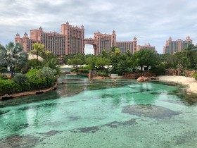 Poker Legends Meet in the Bahamas as WSOP Paradise Begins
