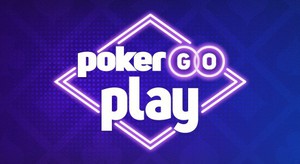 pokergo play social poker game logo