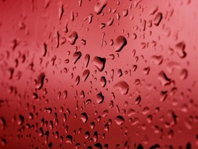 "Speculation" on Further DOJ Seizures Prompts Players to React