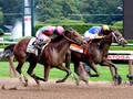 No Justify? No Problem!  NYRA Delivers A Solid Travers Field