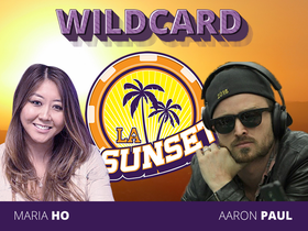 Emmy Award Winning Actor Aaron Paul Joins The Global Poker League
