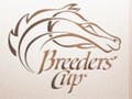 What You Need To Do To Prepare For The Breeder's Cup Championships