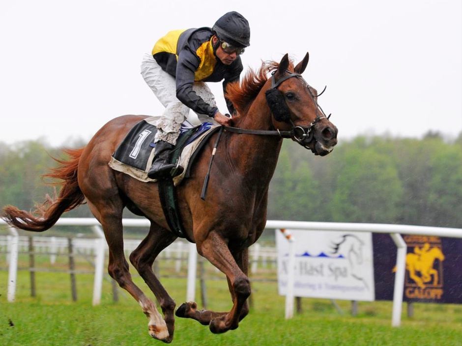 The Derby Trail Runs thru The Fairgrounds $200,000 LeComte Stakes