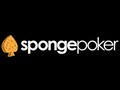 Upstart Sponge Poker Looks For Support To Gain Market Share